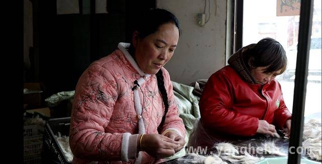 鹿邑化妆刷：从代加工到自主品牌，全球美妆舞台的新势力 小小化妆刷，如何在豫东鹿邑“刷”出百亿财富？