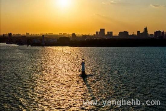 周末邂逅长江沿岸沪上公园的诗意浪漫 周末走进沪上长江沿岸公园，感受自然与心灵的共鸣
