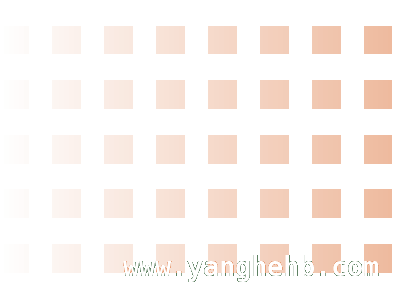 50名学员平和之行：探寻闽南茶文化与乡村之美 华侨大学学员平和研学，沉浸式感受闽南茶文化魅力