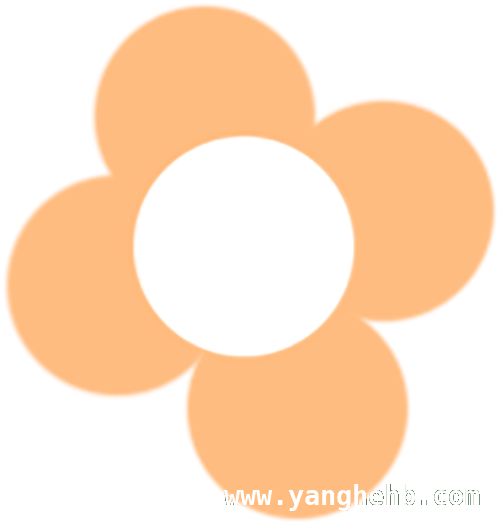 50名学员平和之行：探寻闽南茶文化与乡村之美 华侨大学学员平和研学，沉浸式感受闽南茶文化魅力