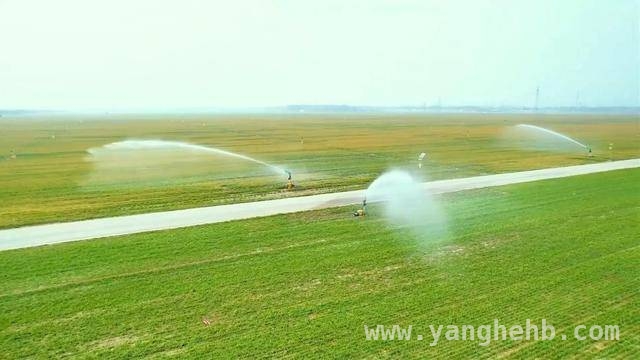 春耕正当时，多地区奏响农业科技与发展协奏曲