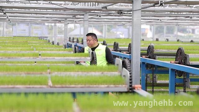 春耕正当时，多地区奏响农业科技与发展协奏曲