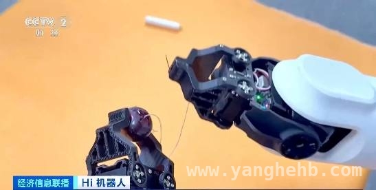 探秘人形机器人：多维度突破引领新变革 人形机器人：从动作升级到模型革新的跨越