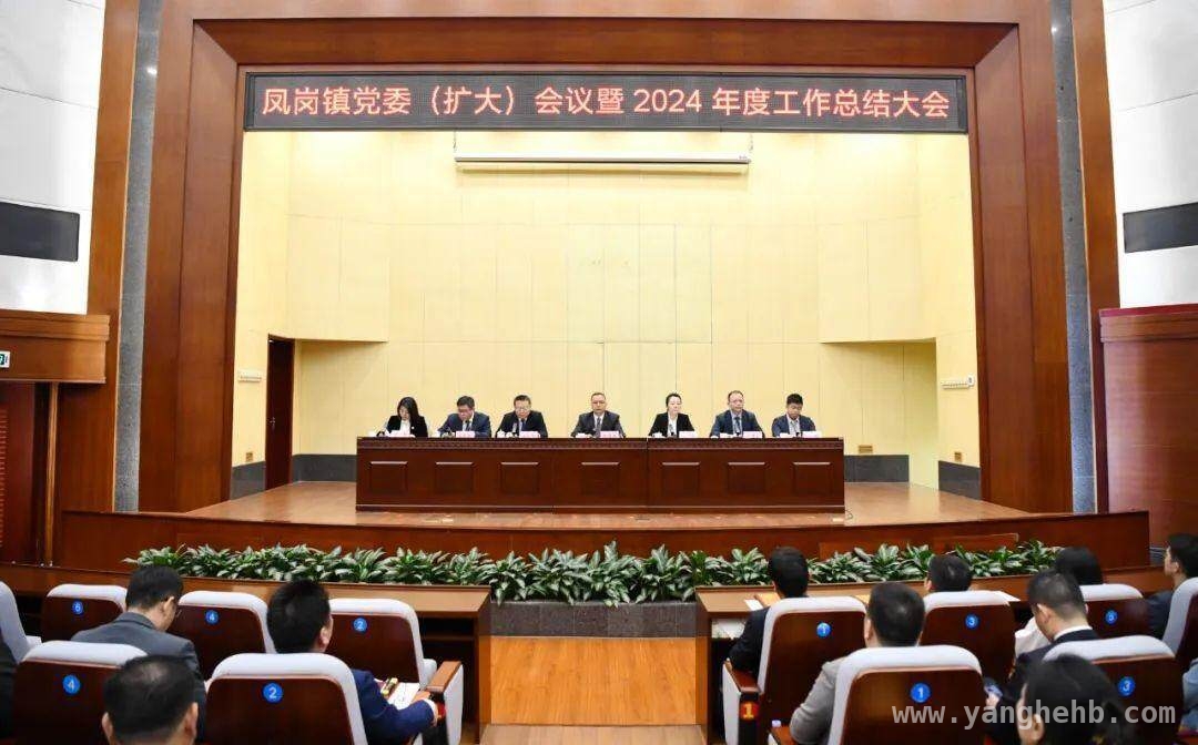 聚焦凤岗镇年度总结大会，展望2025高质量发展蓝图