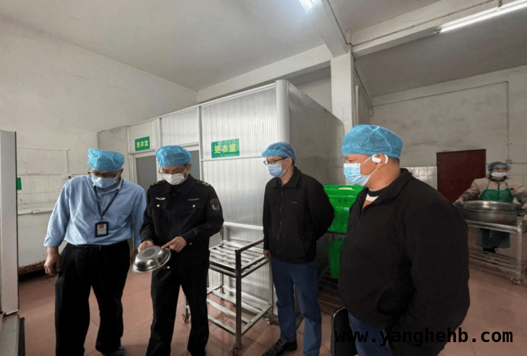 2025 年马山县人大发力，全方位保障校园“食”光安全，马山县人大强化监管，全力守护校园美好“食”光