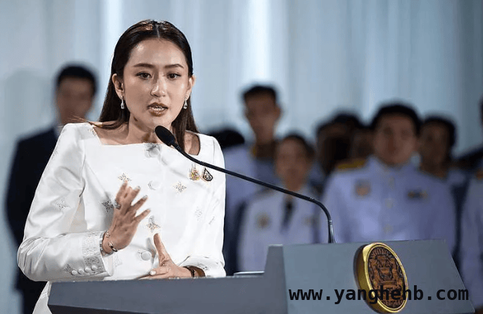 佩通坦经受住考验：反对党不信任动议遭否决