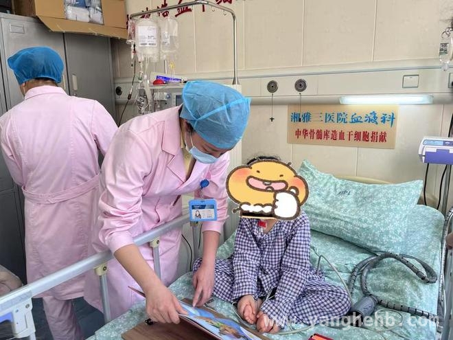 4岁姐妹勇敢“逆行”，为患白血病母亲采集造血干细胞 4岁双胞胎捐髓救母，湘雅三医院见证生命奇迹