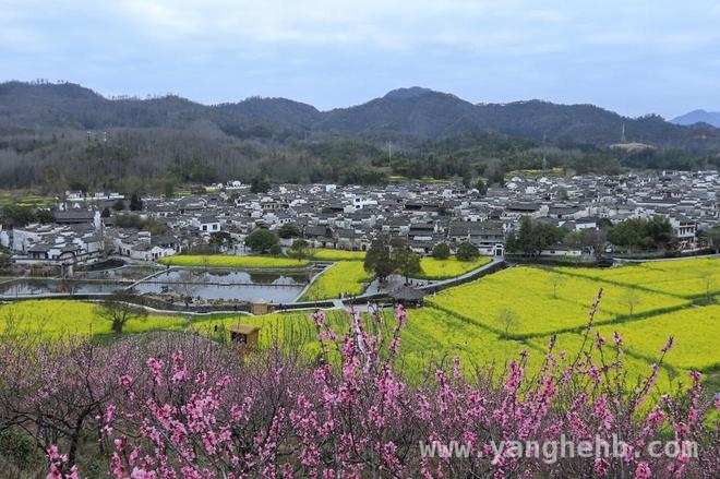 3. 黄山文旅：融合创新之路，邀您共赴春日之约