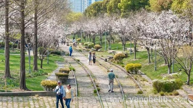 打卡徐汇滨江，开启一场花与艺术的浪漫之旅