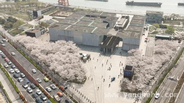 打卡徐汇滨江，开启一场花与艺术的浪漫之旅