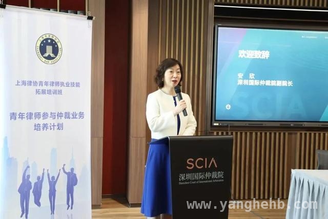 跨域联动，上海青年律师在深圳汲取仲裁新经验，青年律师仲裁培训深圳行：聚焦前沿，赋能未来