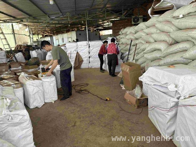 阳春三月，泸州银行助力叙永中药材产业突破发展，1000万贷款，泸州银行助叙永中药材企业开启新征程