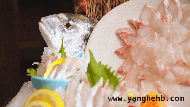 探秘上海长寿路，这家烧鸟居酒屋太绝了！ 上海日式烧鸟专门店，每一口都是匠心滋味！