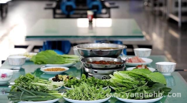 突破高原限制，科技让武警蔬菜种植不再是难题
