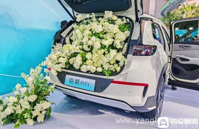 海狮05EV来袭，重新定义A级纯电SUV新标杆！，海狮05EV上市，开启新能源出行高阶体验！