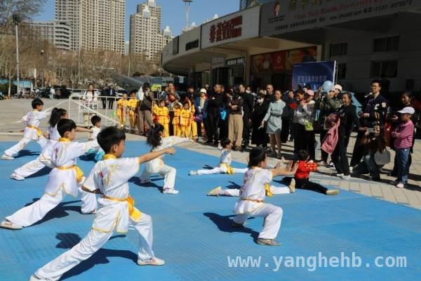 “户外在河北—秦皇山海”：武术、汽车、家居展多元狂欢，武术魅力遇上汽车与家居盛宴，秦皇山海这场活动太火啦！