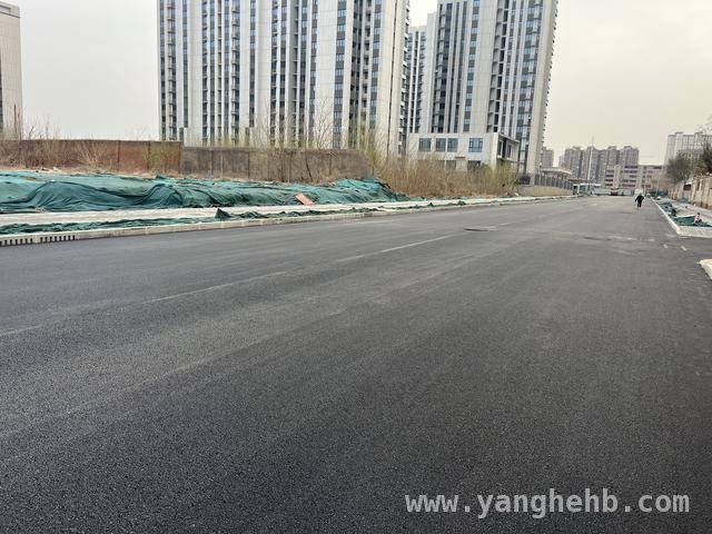 安阳市龙安区金祥路通车，打通城市“梗阻”！，龙安区金祥路通车：绘就交通新蓝图，提升居民幸福感