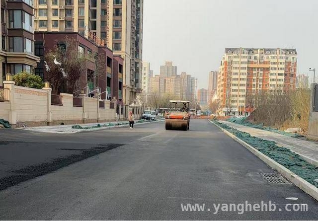 安阳市龙安区金祥路通车，打通城市“梗阻”！，龙安区金祥路通车：绘就交通新蓝图，提升居民幸福感