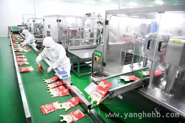 麻辣王子2025蓝图：深耕麻辣赛道，助力平江产业腾飞