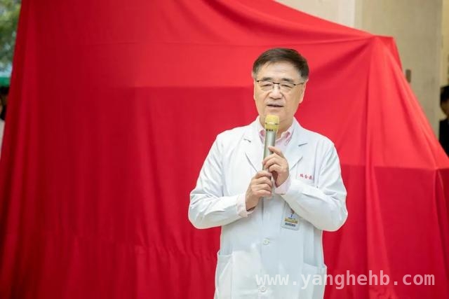 善爱共生！瑞金医院公益艺术展点亮希望之光，瑞金医院公益艺术展：艺术疗愈生命之美