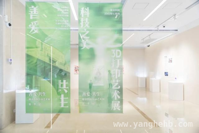 善爱共生！瑞金医院公益艺术展点亮希望之光，瑞金医院公益艺术展：艺术疗愈生命之美