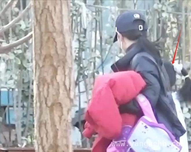 甄嬛传安陵容扮演者陶昕然离婚，AA制婚姻终散场 陶昕然官宣离婚，离谱AA制生活成婚姻“定时炸弹”