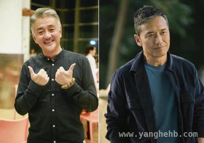 娱乐圈男神大变样，谁被医美“坑惨”了？