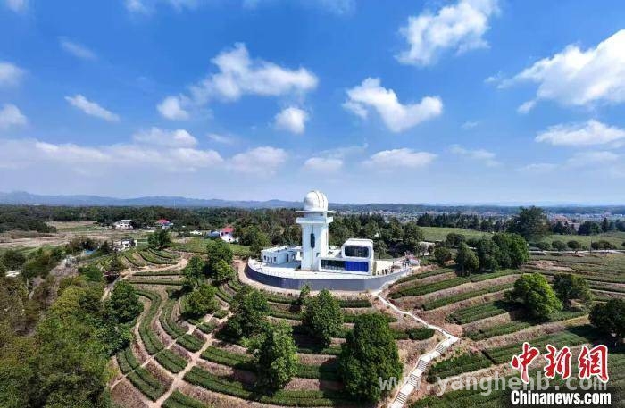 茶乡邂逅星空，金井镇打造文旅融合新典范