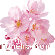 花开枣庄，开启绝美赏花之旅，枣庄赏花地图大揭秘，错过等一年