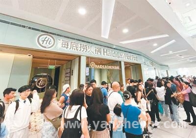 出海逐浪，中国餐饮如何在海外绽放光彩？，中国餐饮海外征程：以美食为帆，文化为桨