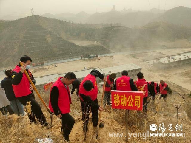 米脂移动志愿者卧虎湾植树，为乡村振兴添生态动力，陕西移动榆林米脂分公司义务植树，为米脂添新绿