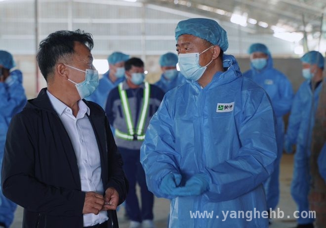 蒙牛2024年业绩亮眼，“一体两翼”开启新征程