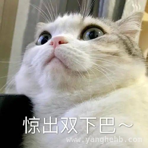 外卖骑手一声喊，浙江炸鸡店火灾危机化解