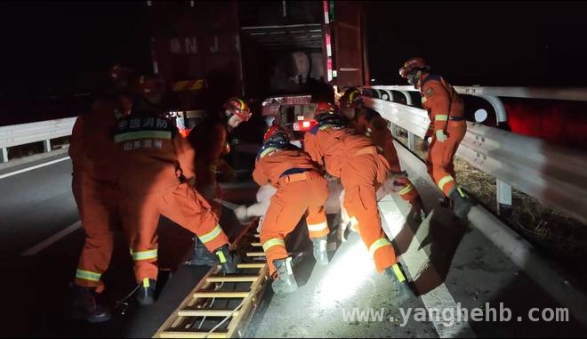 滨州高速生猪“出逃”，消防近40分钟救援使其“归栏”，荣乌高速生猪“越狱”，滨州消防成功化解交通隐患