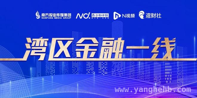 2024建行年报揭秘：业务板块与资产质量的新态势，建设银行2024年报：营收与利润的变奏曲