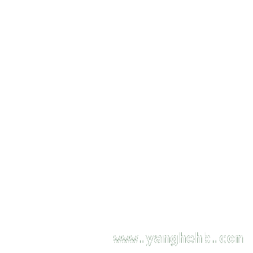 校园反诈宣讲：筑牢师生安全防线，反诈宣讲走进校园，守护师生财产安全