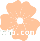 盘扣技艺：从古老传承到现代焕新，白翠萍功不可没，盘扣之美：非遗传承人白翠萍的匠心传承