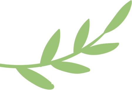 福州植物园森林驿站：开启生态文化传播新征程