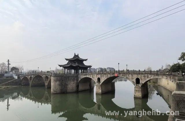 突发！温州老头乐自燃连累保时捷，谁来“买单”？，温州龙港火灾：老头乐烧了保时捷，赔偿之路迷雾重重