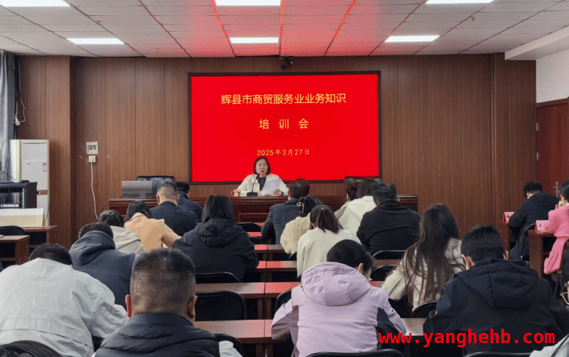 辉县市商贸服务业业务知识培训，加强乡镇统计队伍建设