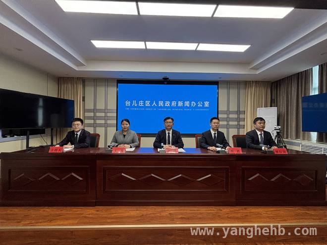台儿庄区委社会工作部周年庆：志愿服务开启新篇章 一年耕耘，台儿庄志愿服务在区委社工部引领下繁花似锦