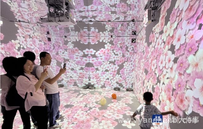 走进2025粤港澳大湾区花园大赛，解锁赛博与自然之美