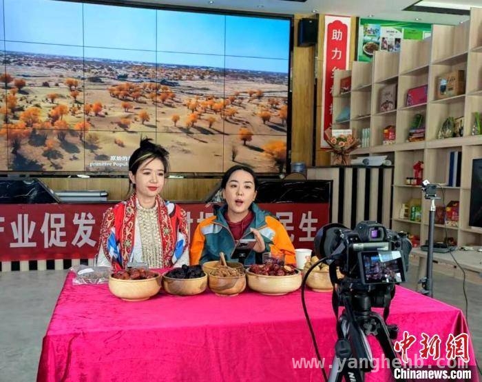 新疆羊肉：从粗放养殖到质优畅销的华丽转身