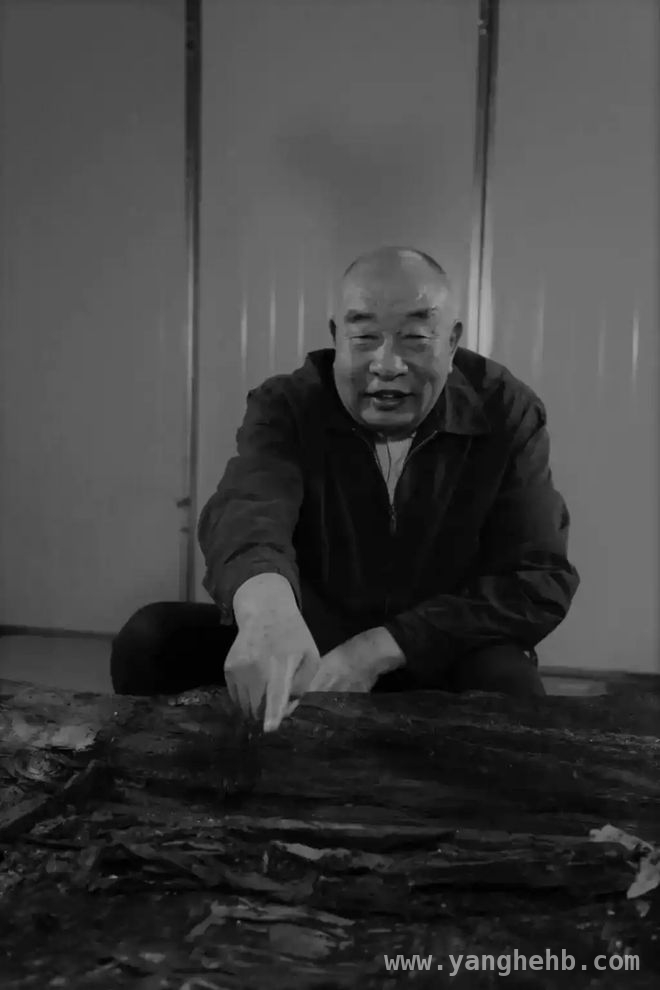 缅怀信立祥：用一生书写秦汉考古的壮丽篇章，考古巨星陨落！信立祥先生一生为考古事业燃尽光热