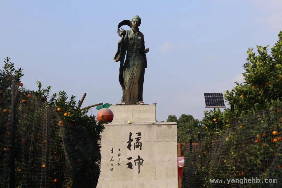 黄岩——从柑橘之乡到星空公园，一场跨越千年的文化之旅