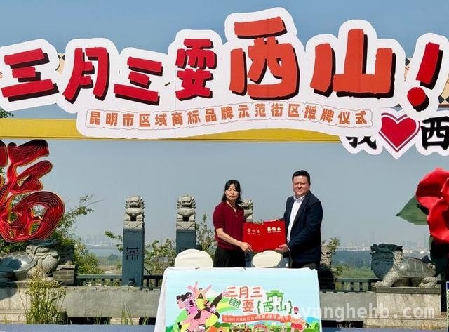 茶马花街引领，昆明区域商标品牌示范街区打造城市活力磁场