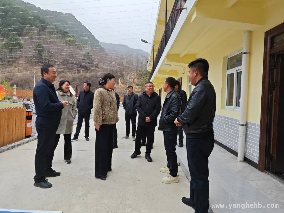 聚焦酒铺村民宿：政协委员调研助力乡村旅游腾飞 政协委员深入酒铺村，为乡村旅游高质量发展献策
