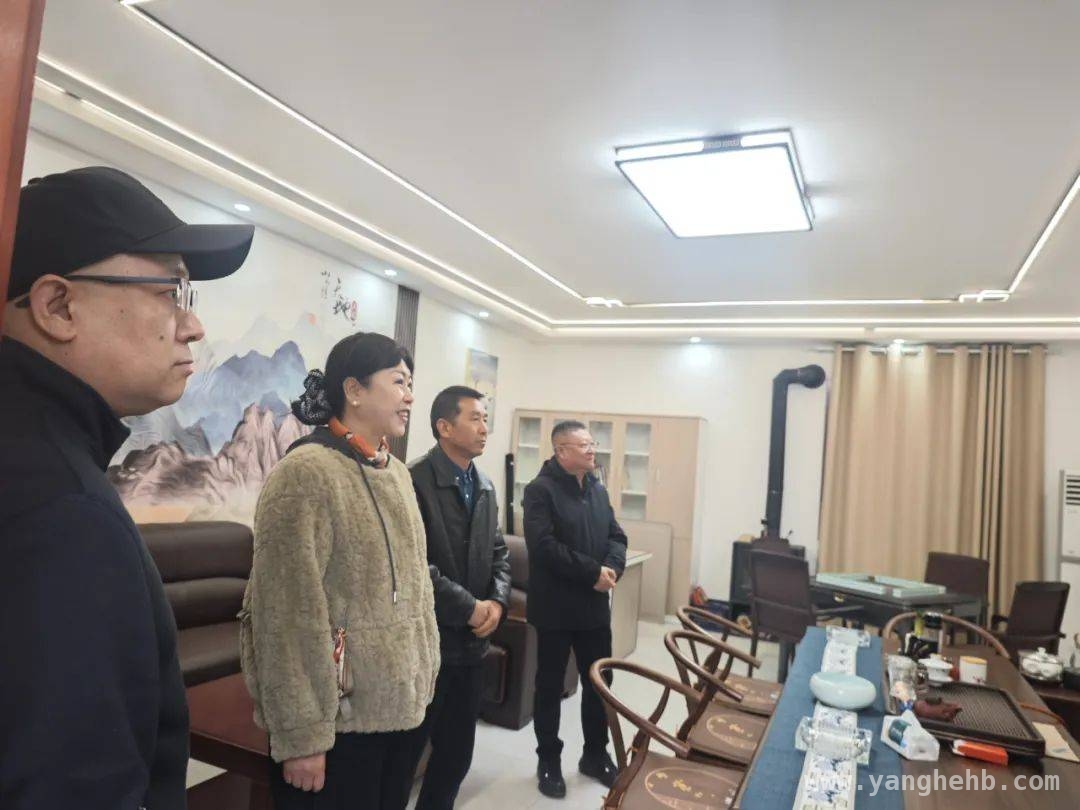 聚焦酒铺村民宿：政协委员调研助力乡村旅游腾飞 政协委员深入酒铺村，为乡村旅游高质量发展献策
