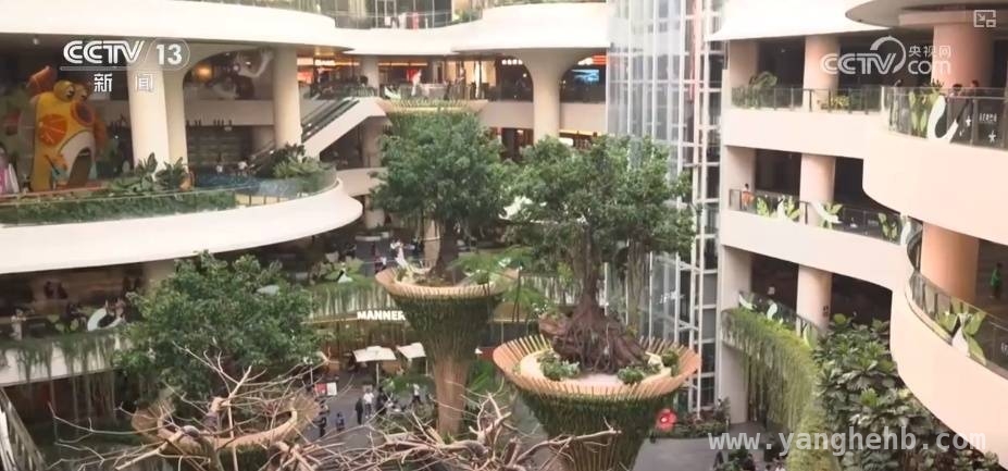 深圳商场升级，日均近10万客流的魅力何在？，深圳商场改造新体验，周末客流火爆！