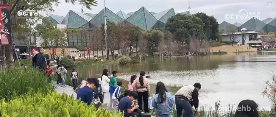 深圳商场升级，日均近10万客流的魅力何在？，深圳商场改造新体验，周末客流火爆！